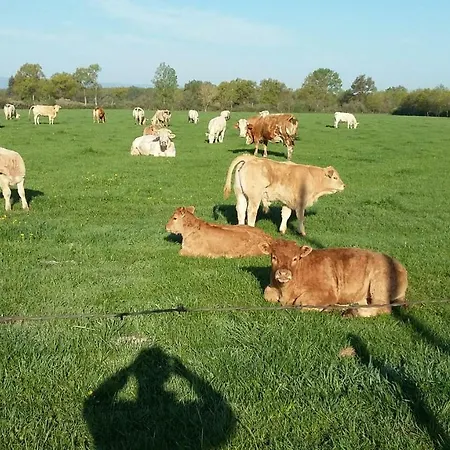 La Ferme Du Nizon 公寓