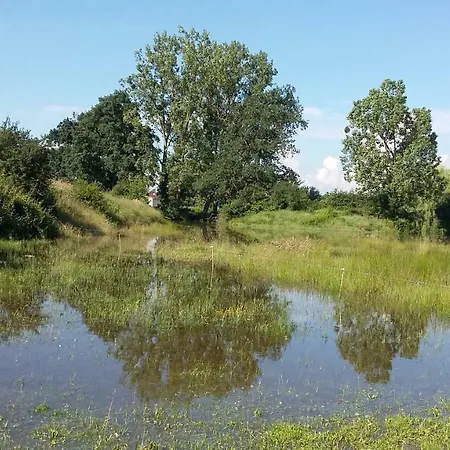 La Ferme Du Nizon 公寓